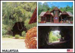 Gomantong Caves - Sandakan, Sabah