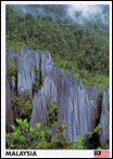 Spectacular Pinnacles in The Mulu National Park, Sarawak