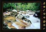 Old River (Sungai Tua) Recreational Forest