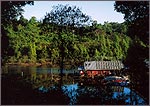 Lake Chini, Pahang (Legendary mythical dragon reputed to inhabit the calm waters)