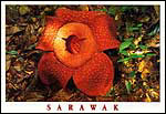 srw05