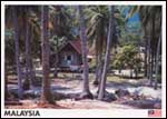 Village house near a beach