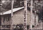 Intricate Patterned Asli Home (Uncommon Beauty) has become a rare sight 