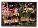 4 Views - Selection of orang asli (native) houses of Mal