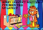 Sorry I Haven't Written...
