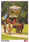 Elegant & Charming Bullock Carts (Kereta Lembu) - Malacca