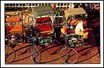 Trishaws - Beca 2