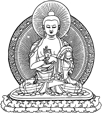 pompon du bouddha