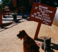 CLICK to go to a larger version of&nbsp; "The Ettamogah Pub"