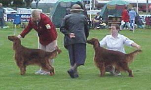 Catherine Larkin & Lucy on Left&nbsp; and&nbsp;&nbsp; Sharon Larkin & Jiller on Right
