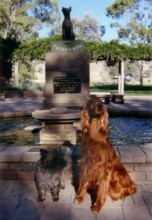CLICK to go to a larger pic of the famous "Dog on a Tuckerbox"