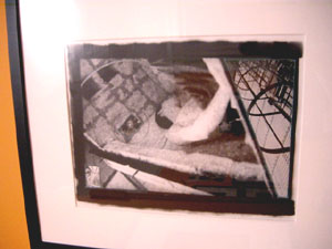 Photograph