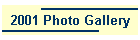 2001 Photo Gallery