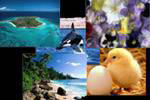 Nature.jpe
