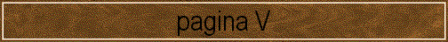  pagina V 
