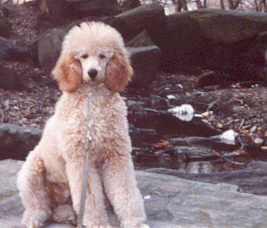 Kelly - 3.5 months of age