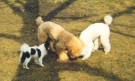Billy, Kelly, and Madison