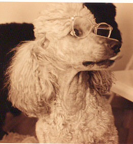 Kelly trying on a pair of glasses
