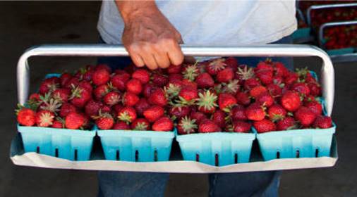 Description: Description: Description: Description: Description: Photo of strawberries