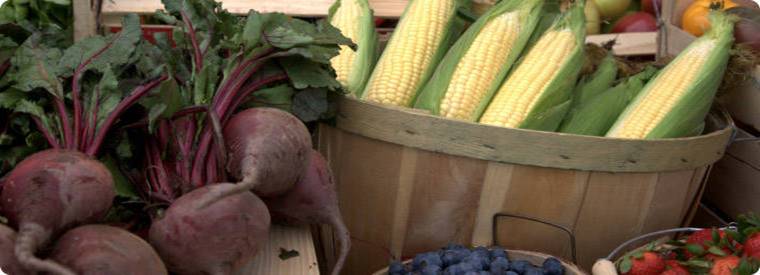 Description: Description: Description: Description: Description: Welcome to Fresh Direct, an Online Grocery Delivery Service