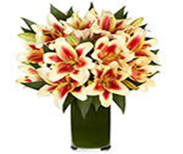Description: https://www.freshdirect.com/media/images/product/flowers_1/flo_pid_2490039_p.jpg?publishId=2038