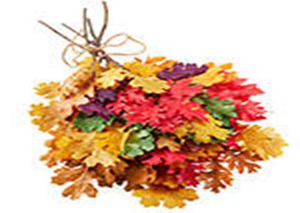 Description: https://www.freshdirect.com/media/images/product/flowers_1/flo_pid_2490181_p.jpg?publishId=2038