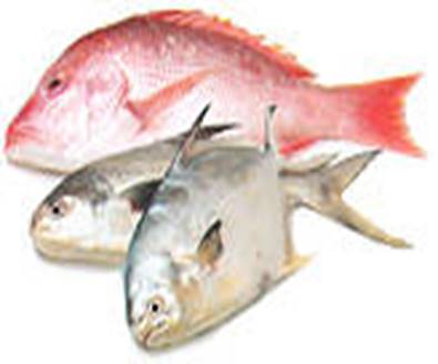 Description: Description: Description: https://www.freshdirect.com/media/images/navigation/department/seafood/seafood_cat/seafd_whlfish.jpg