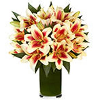 Description: Description: Description: https://www.freshdirect.com/media/images/product/flowers_1/flo_pid_2490039_p.jpg?publishId=2038
