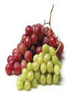 Description: Description: https://www.freshdirect.com/media/images/navigation/department/fruit/fruit_cat/fru_grp.jpg