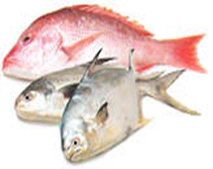 Description: https://www.freshdirect.com/media/images/navigation/department/seafood/seafood_cat/seafd_whlfish.jpg