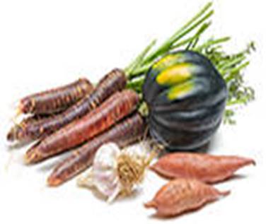 Description: https://www.freshdirect.com/media/images/navigation/department/vegetables/fall_veg_icon.jpg