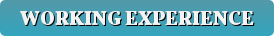 experiencebutton