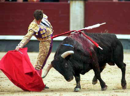 Sin necesariamente ser aficionados a la llamada fiesta brava, la reciente y expedita prohibici�n para realizar corridas de toros en Coahuila mientras hay otros asuntos a�n urgentes como olvidados, perfila una cornada contra la libertad de elecci�n para un sector de la poblaci�n. La historia en otras latitudes nos advierte que este tipo de restricciones son apenas el inicio 