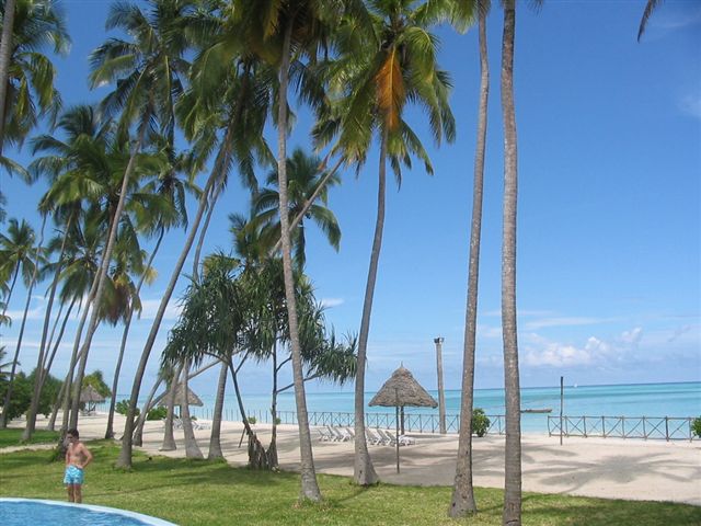 The ocean paradise resort