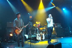 the&nbsp; Hip