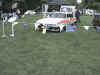 IMG_0226.jpg (43537 bytes)