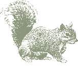 DataStudio Accounting Logo