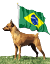 Vers&atilde;o em Portugu&ecirc;s