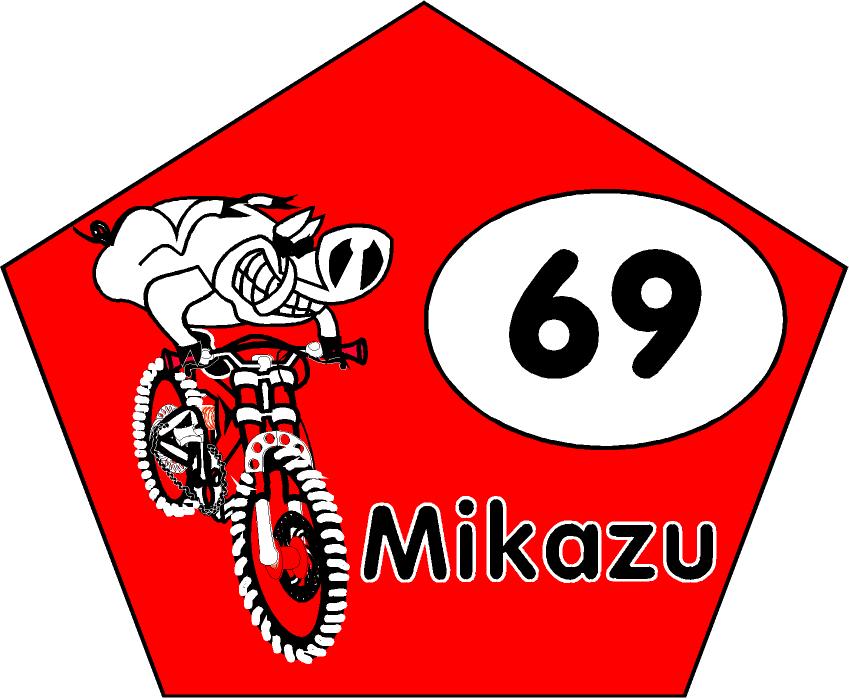Logo 2003 on the number plate
