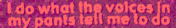 Internet Bumper Stickers
