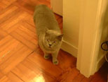 1999