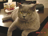Nov 2000