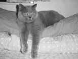 Mar 2001