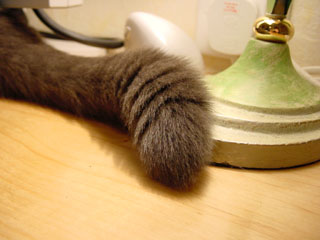 Greymeow