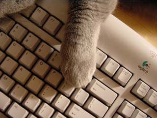 Greymeow