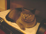 Aug-Sep 2001