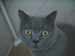Oct 2001
