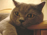 Feb 2002