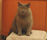 May 2002