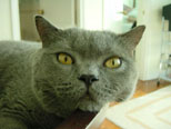 Apr 2003